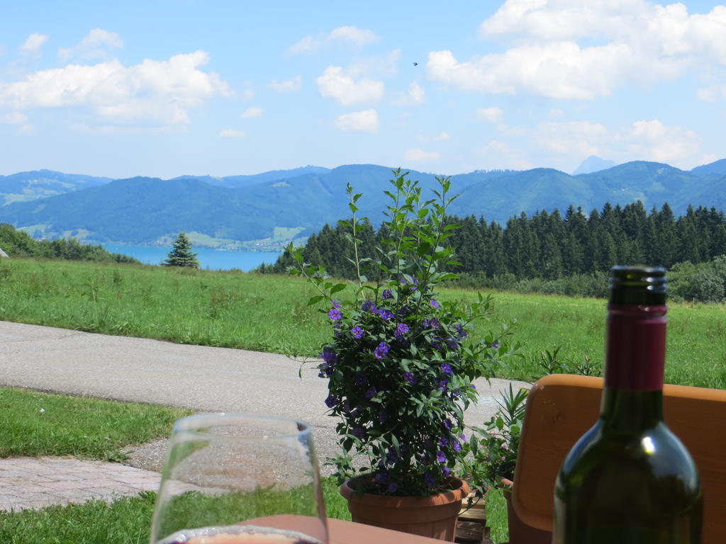 Ferienwohnung Brigitte Perner Nussdorf am Attersee Extérieur photo